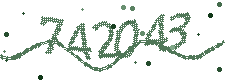 Image with the verification code