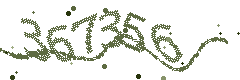 Image with the verification code