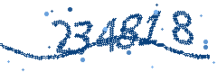 Image with the verification code