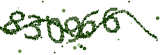 Image with the verification code
