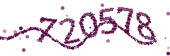 Image with the verification code