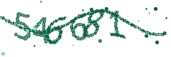 Image with the verification code