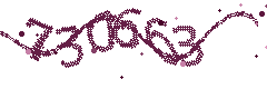 Image with the verification code