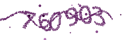 Security verification code