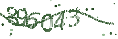 Security verification code