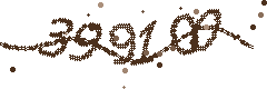 Image with the verification code