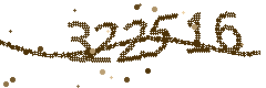 Image with the verification code