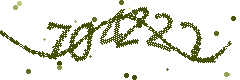 Image with the verification code