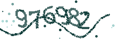 Security verification code