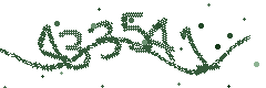 Image with the verification code