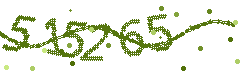 Image with the verification code