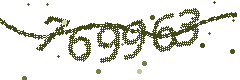 Security verification code
