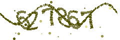 Image with the verification code