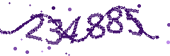 Image with the verification code