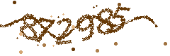 Image with the verification code
