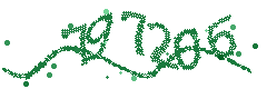 Image with the verification code