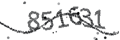 Image with the verification code