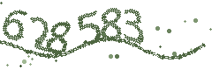 Security verification code