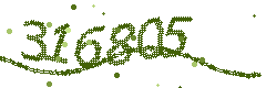 Image with the verification code