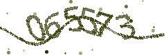 Security verification code