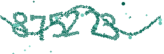 Image with the verification code