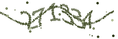 Image with the verification code