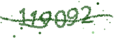Security verification code