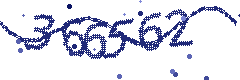 Security verification code