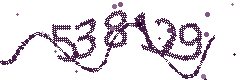 Image with the verification code