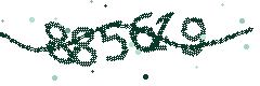Image with the verification code