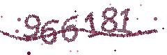 Image with the verification code