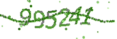Image with the verification code