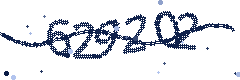 Image with the verification code