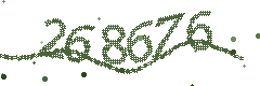 Image with the verification code