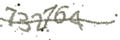 Image with the verification code