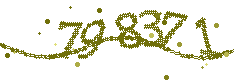 Image with the verification code