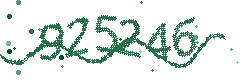 Security verification code