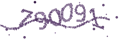 Image with the verification code