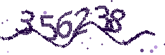 Image with the verification code