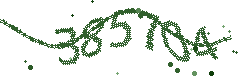 Image with the verification code