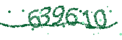 Security verification code
