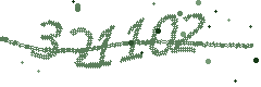 Security verification code