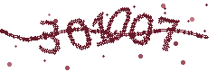 Image with the verification code