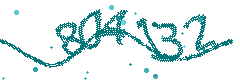 Image with the verification code