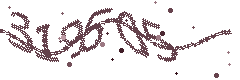 Image with the verification code