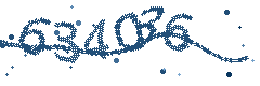 Image with the verification code