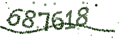 Security verification code