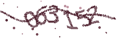 Image with the verification code