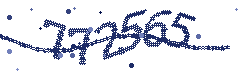 Security verification code