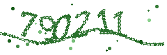 Image with the verification code